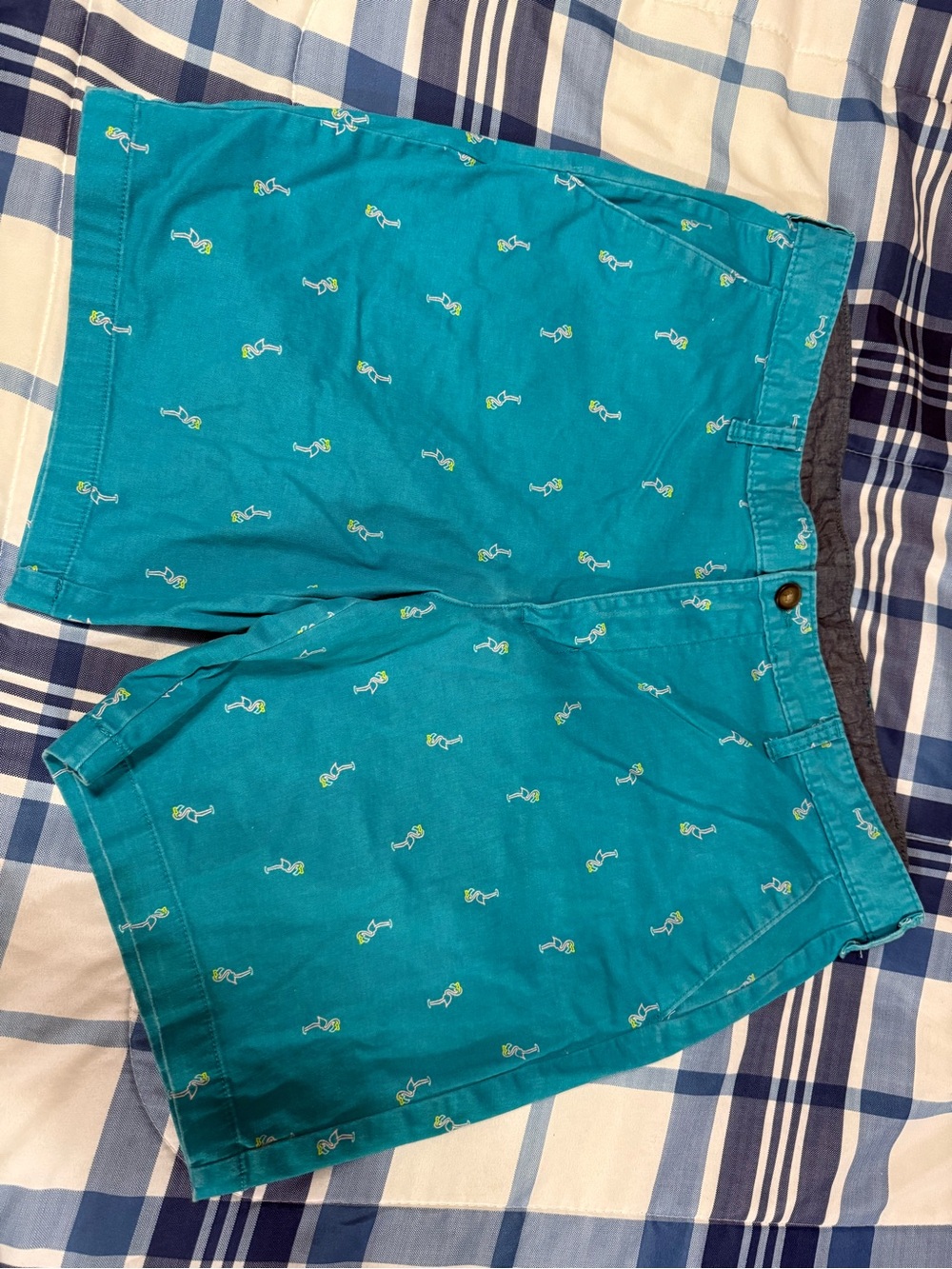 George Teal Casual Shorts